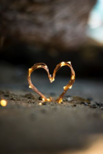 Photo by Fadi Xd on Unsplash