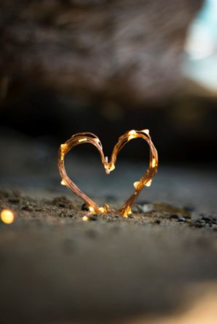 Photo by Fadi Xd on Unsplash Photo by Fadi Xd on Unsplash