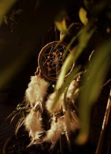 Photo by Bhavya Pratap Singh on Unsplash