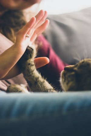 Photo by Bhavya Pratap Singh on Unsplash